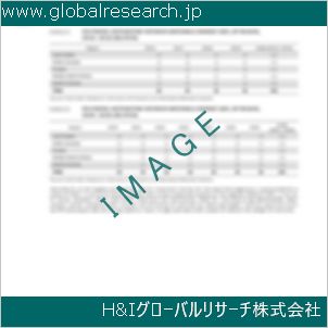 グローバルリサーチ調査資料のイメージ
